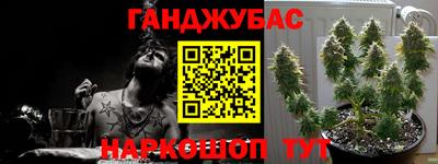 мдпв Аргун