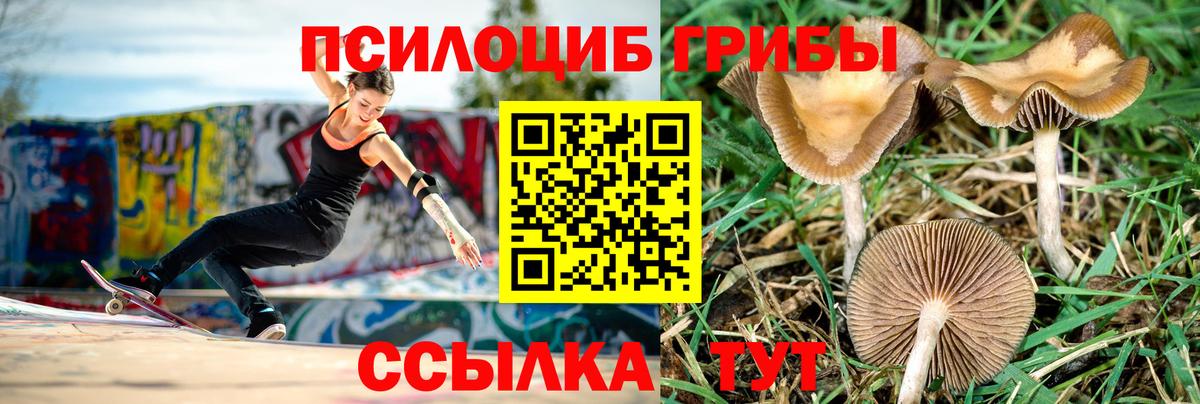 Белебей  Псилоцибиновые грибы прущие грибы  Псилоцибиновые грибы MAGIC MUSHROOMS  Вход с VPN 